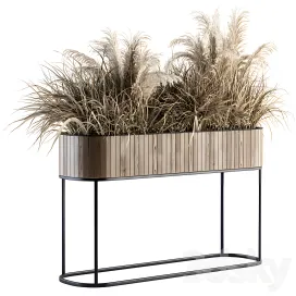 Indoor plant dried plants in wood stand